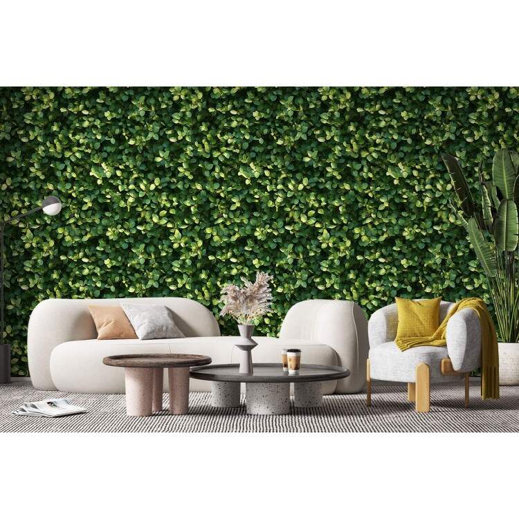 Papel de Parede Floral Folhas Delicadas em Tom Verde Escuro