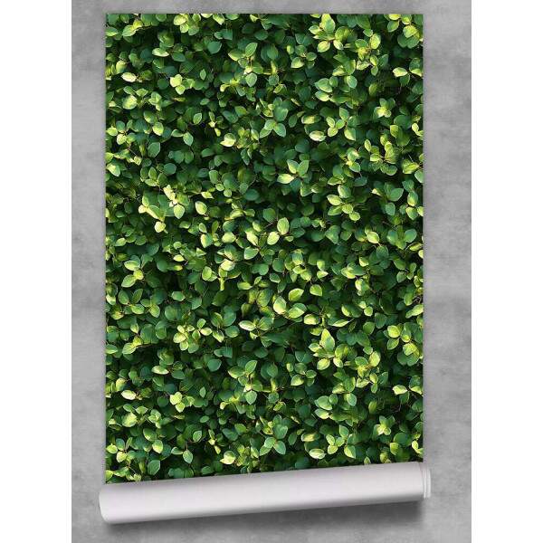 Papel de Parede Floral Folhas Delicadas em Tom Verde Escuro
