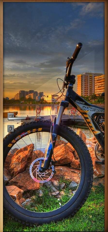 Adesivo para Porta Paisagem com Bicicleta