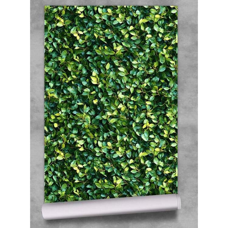 Papel de Parede Muro Verde com Folhas Pequenas