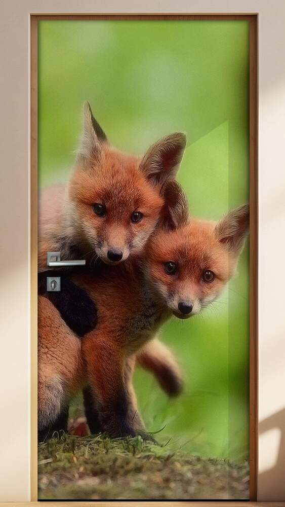 Adesivo Para Porta Animais Filhotes De Raposa