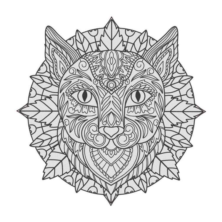 Quadro Decorativo MDF Gato Preto e Branco
