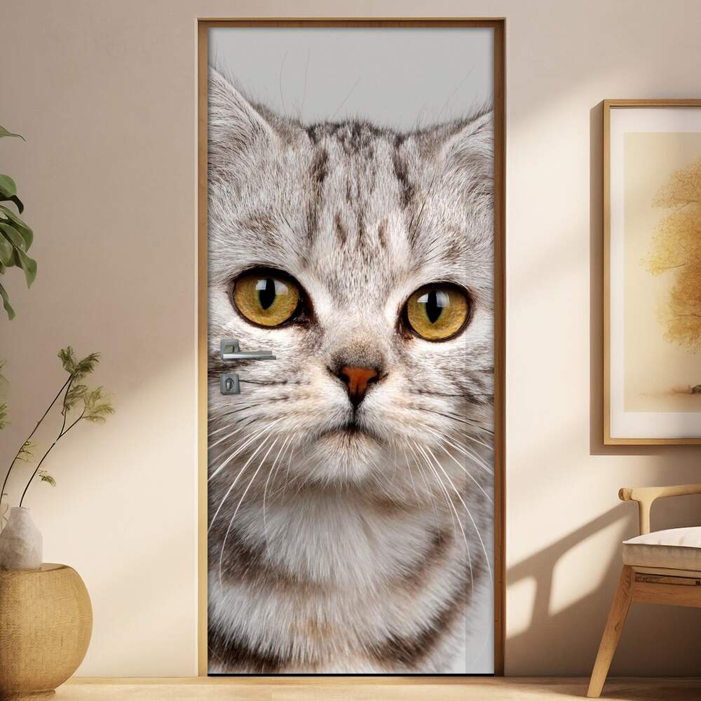 Adesivo Para Porta Animais Gatinho Com Olhos Castanhos