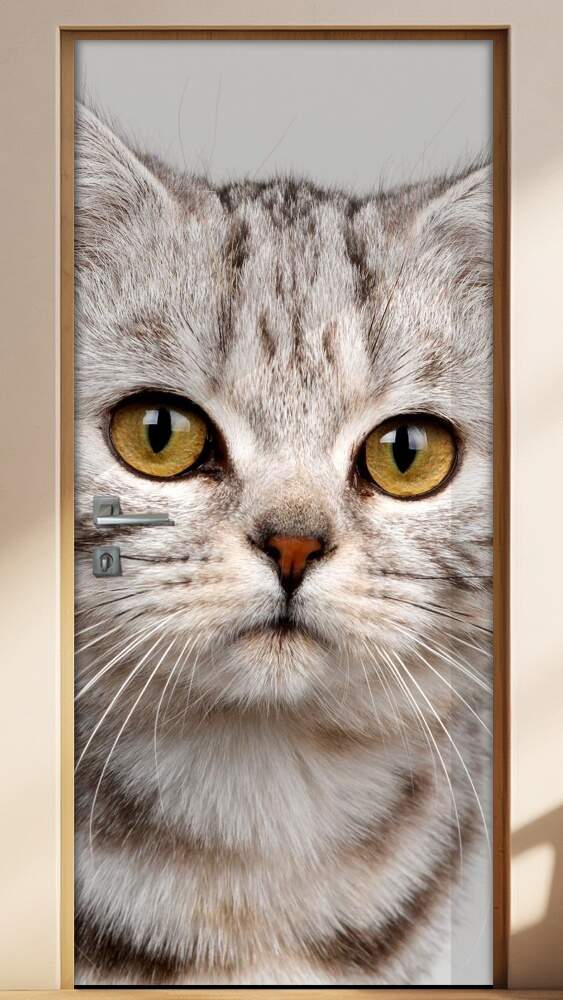 Adesivo Para Porta Animais Gatinho Com Olhos Castanhos