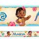 Adesivo de Parede Faixa Tropical Personaliz�vel