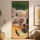 Adesivo Para Porta Animais Porquinho Com Viol�o