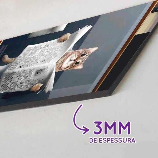 Placa Banheiro 075