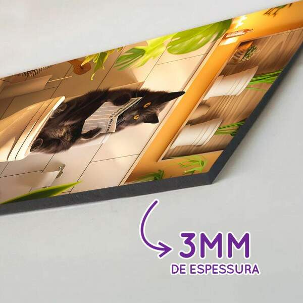 Placa Banheiro 080