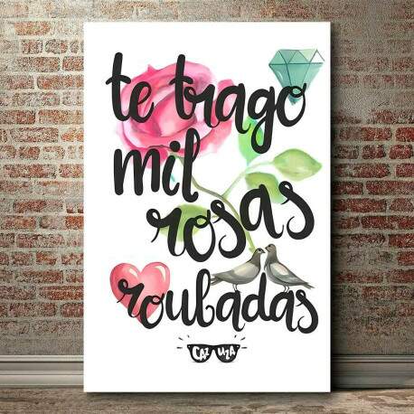 Placa musicas 011
