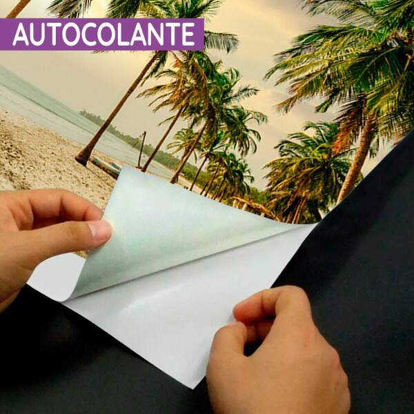 Papel de Parede Praia Palmeiras Por Do Sol MP