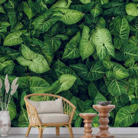 Papel de Parede Textura De Folhas Grandes MP