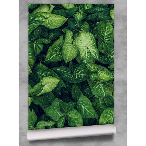 Papel de Parede Textura De Folhas Grandes MP