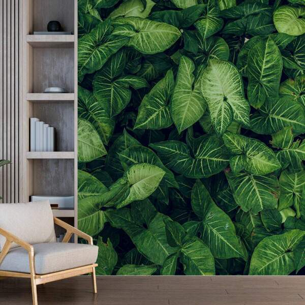 Papel de Parede Textura De Folhas Grandes MP