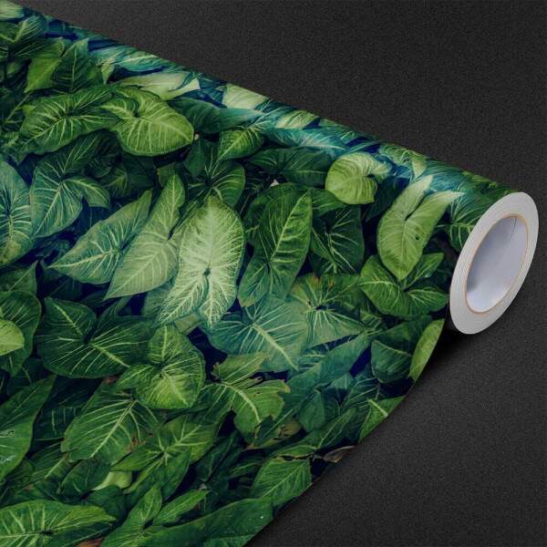 Papel de Parede Textura De Folhas Grandes MP