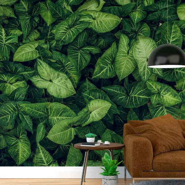 Papel de Parede Textura De Folhas Grandes MP