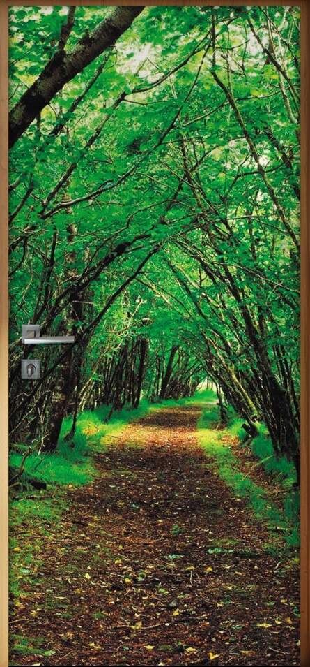 Adesivo Para Porta Pontes E Estradas Caminho Na Floresta 3