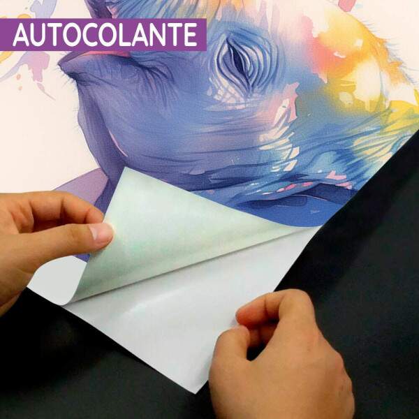 Papel de Parede Elefante Colorido MP