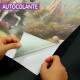 Papel de Parede Princesa No Unicornio MP