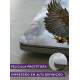 Skin Notebook Aguia Com Frase Motivacional