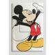 Interruptor Impresso Infantil Mickey