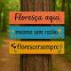Placas Decorativas "Flores�a aqui mesmo sem motivos"