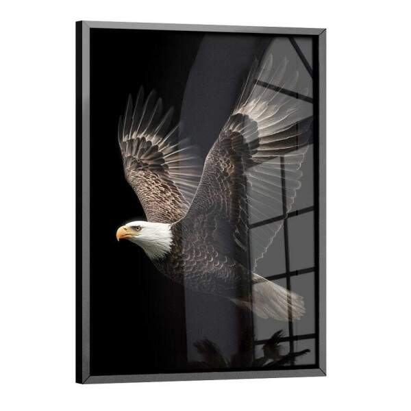 Quadro Decorativo guia Voando