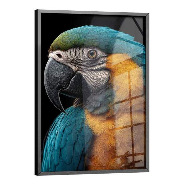 Quadro Decorativo Arara Colorida