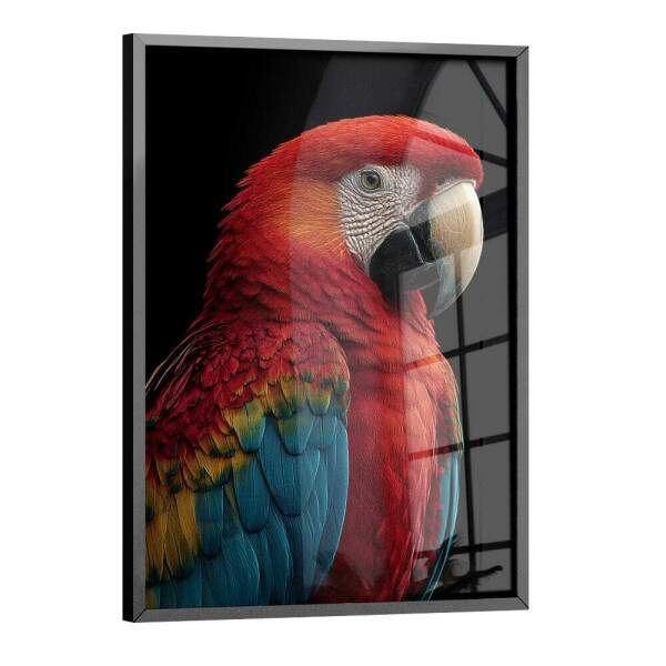 Quadro Decorativo Arara Vermelha
