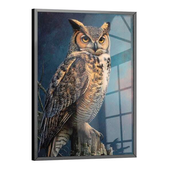 Quadro Decorativo Coruja