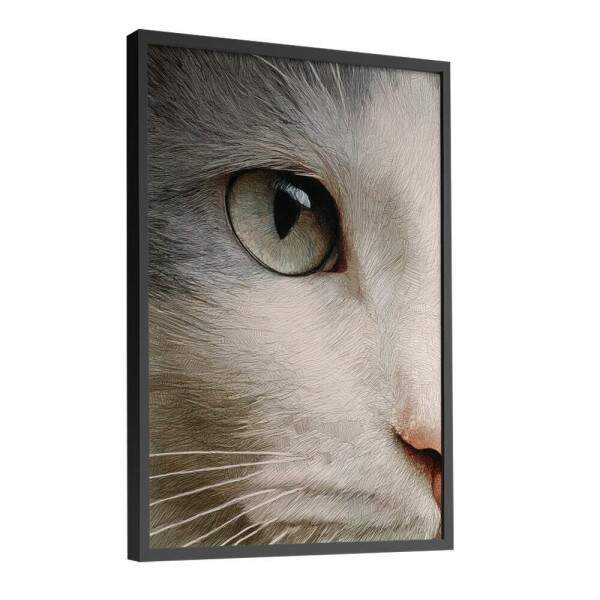 Quadro Decorativo Olhar De Gato Branco