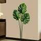 Adesivo de Parede Folhagem Monstera