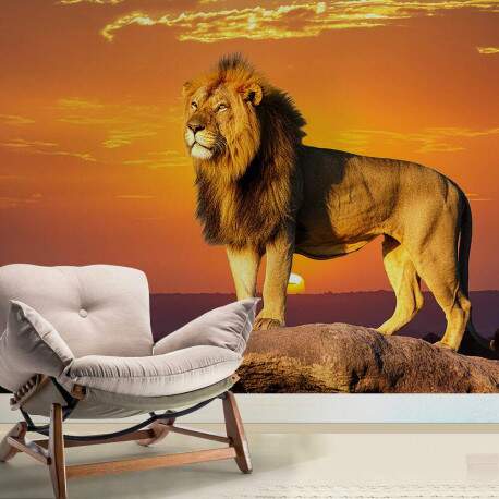 Papel de Parede Leo na Pedra Por do Sol MP