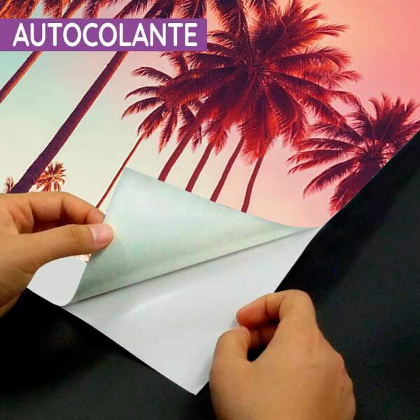 Papel De Parede Coqueiros De Miami Retr MP