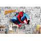 Papel De Parede 3d Homem Aranha Buraco Na Parede MP