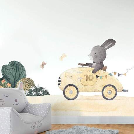 Papel de Parede Coelho em Seu Carro de Corrida Aquarela MP