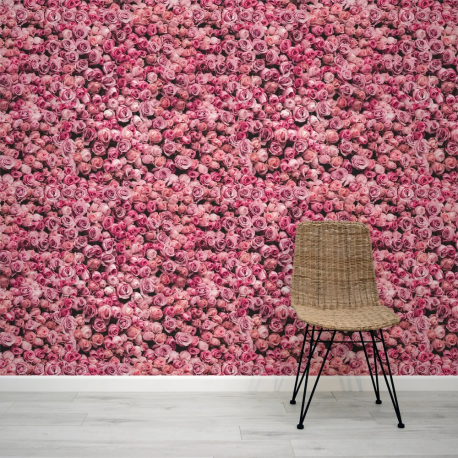 Papel de Parede Rosa Pink Vibrante MP