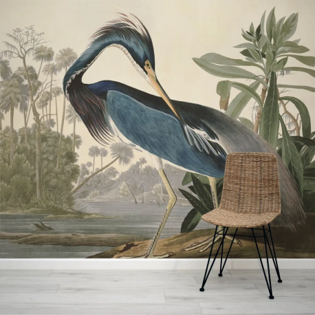 Papel de Parede Aves da Louisiana MP
