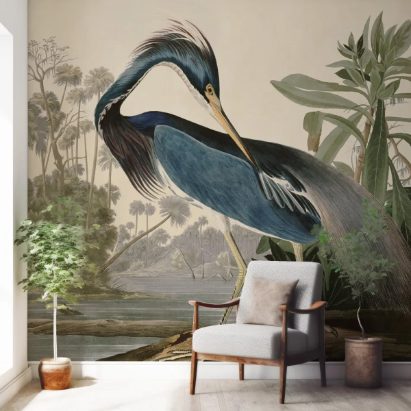 Papel de Parede Aves da Louisiana MP
