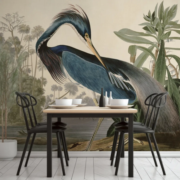 Papel de Parede Aves da Louisiana MP