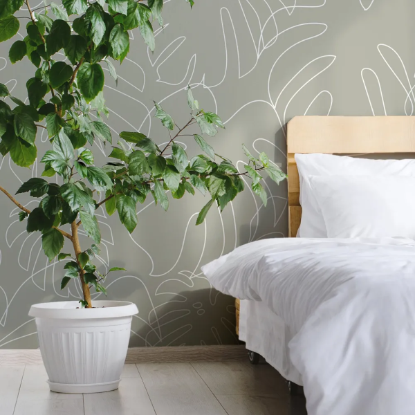 Papel de Parede Folhas de Monstera Minimalista Verde MP