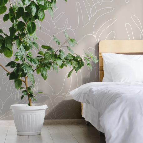 Papel de Parede Folhas de Monstera Minimalista Bege MP