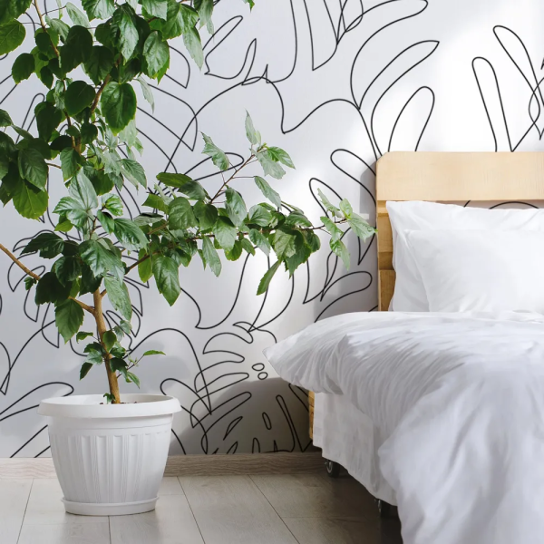 Papel de Parede Folhas de Monstera Minimalistas em Preto e Branco MP