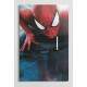 Interruptor Impresso Infantil Spiderman