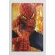 Interruptor Impresso Homem Aranha 1