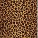 Papel de Parede Animal Print On�a Pintada Mod 010