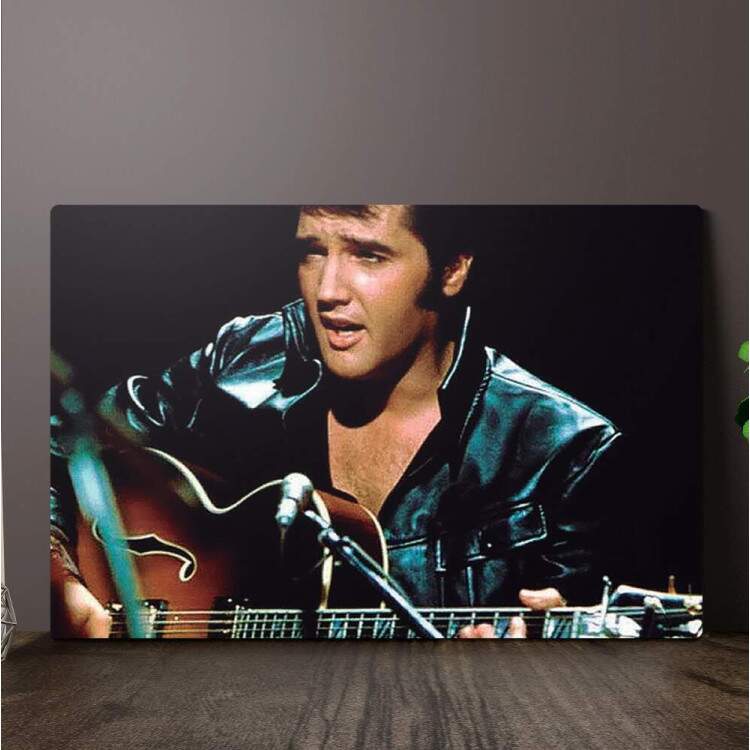 Placa Decorativa Retro Vintage Elvis Presley