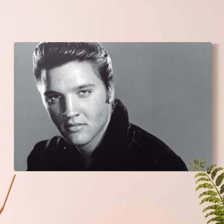 Placa Decorativa Retro Vintage Elvis Presley 6