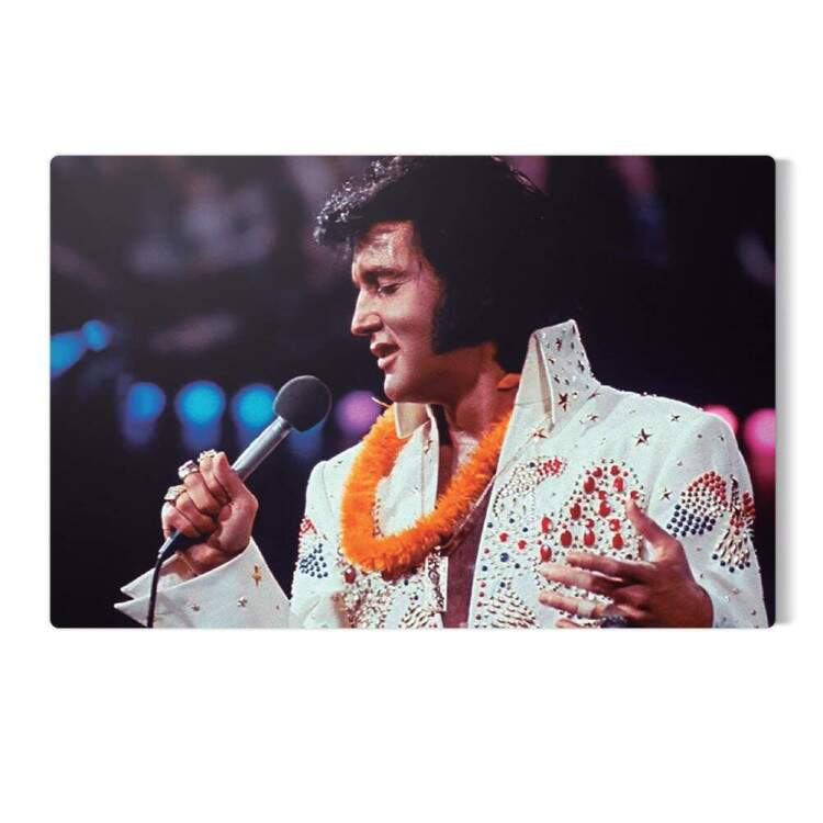 Placa Decorativa Retro Vintage Elvis Presley 8