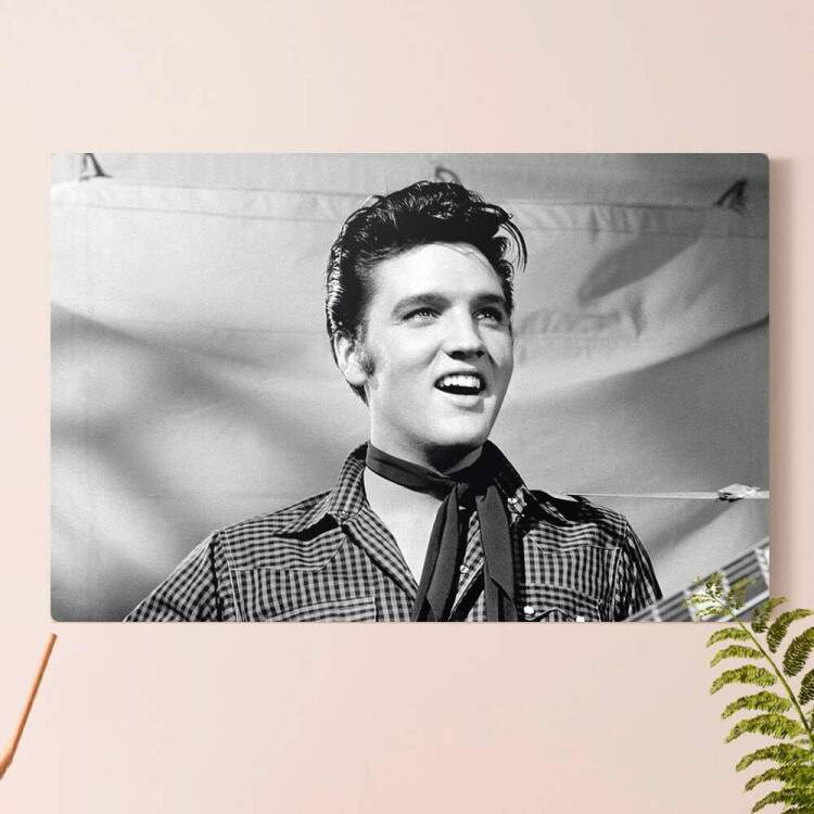 Placa Decorativa Retro Vintage Elvis Presley 9