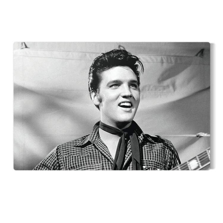 Placa Decorativa Retro Vintage Elvis Presley 9